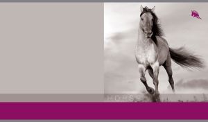 Monochromatic shot of a light horse in the wind on a gray and purple backdrop