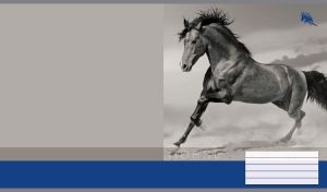 Monochromatic shot of a black-maned horse on a gray and blue backdrop