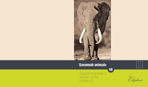 Portrait of a wild African bush elephant in sepia isolated on a beige background