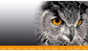 Black-and-white portrait of an Eurasian eagle-owl on a blurry background