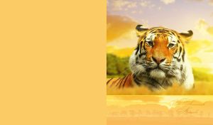 Wild Savannah Animals | Wildlife Portraits on Yellow Ochre Backdrops