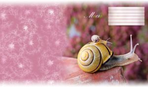 Macro of snails on a rock on a pastel rouge blurred backdrop with soft edges