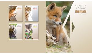 Wild red fox cub on a geometrical pastel beige background