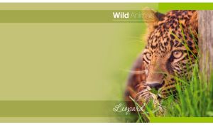 Portrait of a leopard fades into a yellow-green vignette background