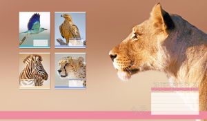 A close-up shot of a lioness on a pastel tan gradient