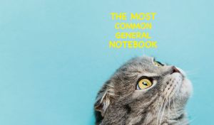 A close-up of a kitten looking up isolated on pastel blue