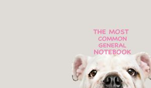 A close-up of a bulldog looking straight isolated on pastel grey