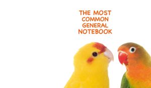 A closeup of a parakeet and a lovebird isolated on white