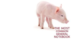 A closeup of a pink piggy looking down isolated on white