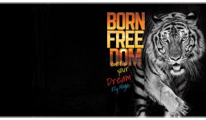 Close-up monochromatic portrait of a tiger on a black backdrop