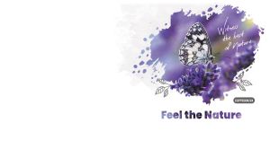 Feel the Nature | Macro World of Creatures and Colors on Inkblot Backdrops | on White