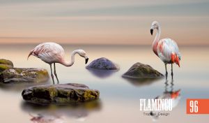 A wildlife scene of flamingos in water against a pastel blue-beige gradient