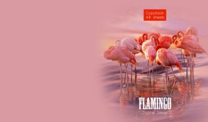 A flock of flamingos in water against a vignetted pastel pink backdrop