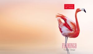 Red and white flamingo isolated on a white, pink and yellow gradient backdrop