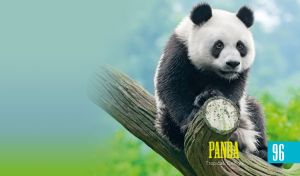 A close-up portrait of a panda on a pastel green-blue vignette backdrop