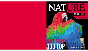 Rare macaw parrot featured on the pink-red cover of a Nature magazine