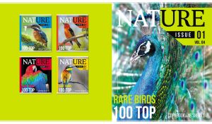 Rare peacock featured on the lime green cover of a Nature magazine