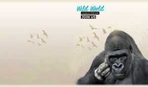 Wild World | Majestic Wildlife Portraits & Profiles on Soft Pastel Beige