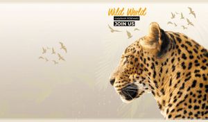 Profile of a Sri Lankan leopard on a beige background with a flock of birds