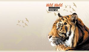 Profile of a Sumatran tiger on a beige background with a flock of birds