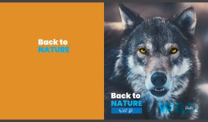 Wild Gaze | Natural Hunters | Closeups on dark