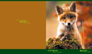 Forest Animals | In the Wild | Closeup shots