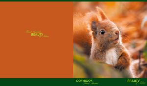 Fluffy red squirrel against orange and green backdrop