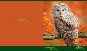 Ural owl perched on a branch against orange and green backdrop