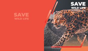 Majestic jaguar portrait emphasizing wildlife conservation on red