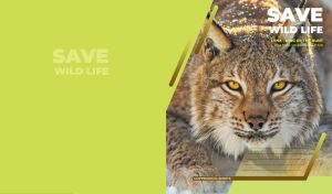Majestic lynx emphasizing wildlife conservation on dark lime
