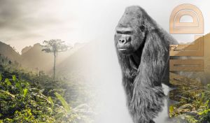 Black-and-white gorilla in an ethereal lush green jungle