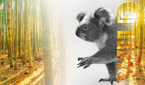 Black-and-white koala in an ethereal sunlit bamboo forest
