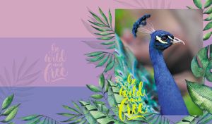 Be Wild and Free | Animal Portraits on Tropical Background