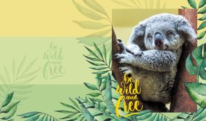 Sleepy koala portrait on a soft yellow-green color palette with tropical leaves
