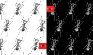 Seamless stencils of zentangle ants on black and white backdrops