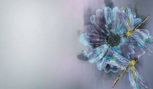 Pair of dragonflies on an aster flower on a teal-grey gradient backdrop