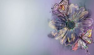 Pair of butterflies on an aster flower on a violet-grey gradient backdrop