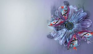 Pair of butterflies on an aster flower on a blue-grey gradient backdrop