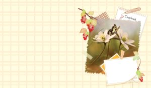 Butterfly on cream flowers on a pastel yellow checkered background