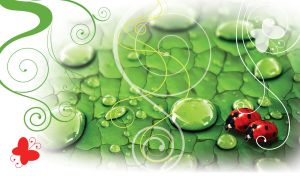 Fauna & Water Droplets | Wildlife Close-ups with Drops and Stencils in White Vignettes