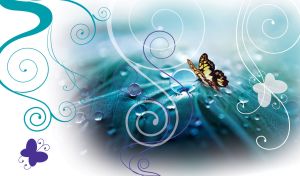 A butterfly on a teal-blue fabric in water drops and white swirl stencils