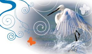 A white heron in the splash of the grey sea water with white swirl stencils