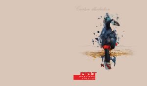 Watercolor painting of a dark blue toucan on a pastel beige backdrop