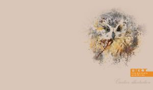 Watercolor painting of a yellow-grey owl on a pastel beige backdrop