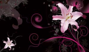 Pastel pink lily contrasts with black background of purple floral patterns