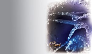 Roses | Petals in Drops | Close-up in vignettes on soft gray gradient