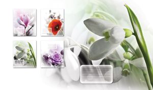 White snowdrops with green stems close-up against a black and white flowers