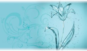 Water droplets form a delicate glass lily on a pastel teal backdrop