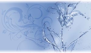 Water droplets form a lovely glass lily on a pastel navy backdrop