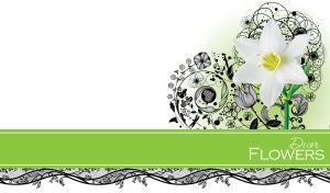 An amazon lily on a black floral stencil design and a green stripe on a white backdrop